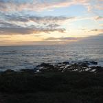 Cambria_0228 (November 05, 2011)